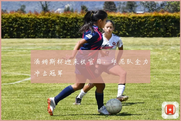 汤姆斯杯迎来收官日，印尼队全力冲击冠军